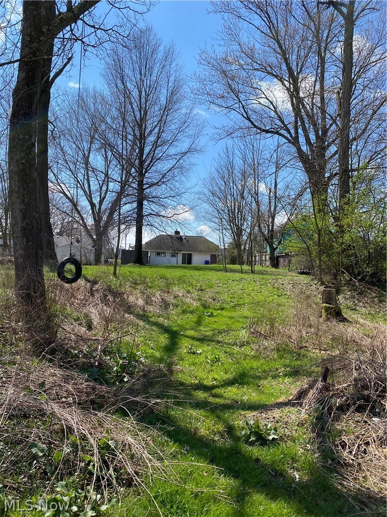 6595 Waterloo Road Atwater, OH 44201 - Photo 6 of 28 View from the very back of the yard.