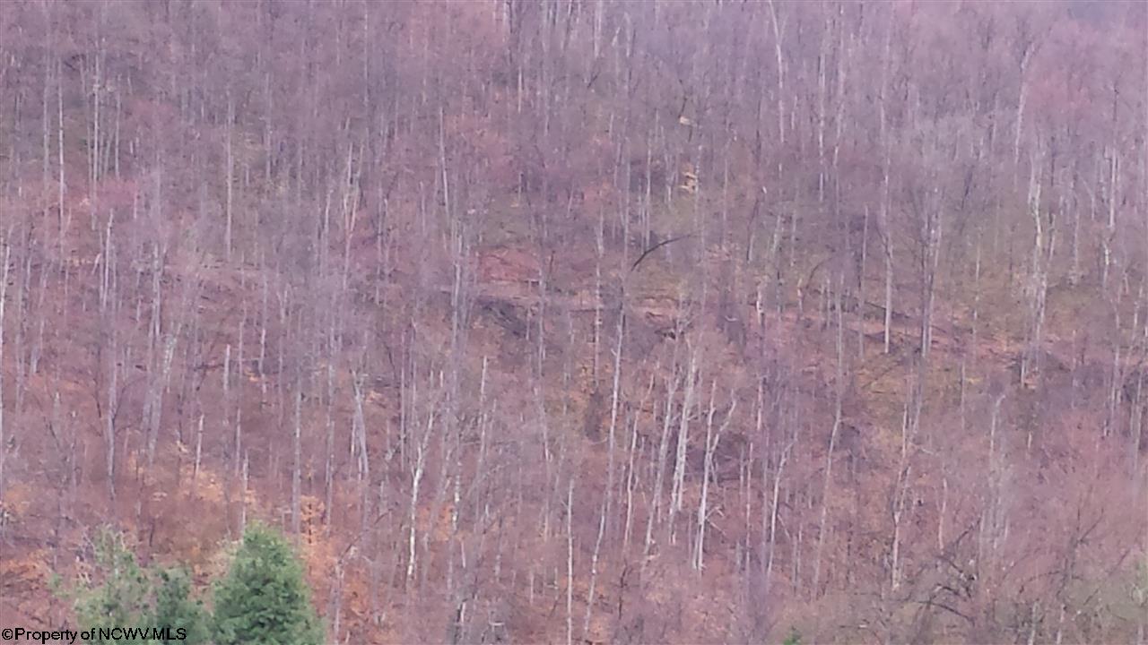 Salt Lick Road Terra Alta, WV 26764 - Photo 18 of 19 Gallery Image 18