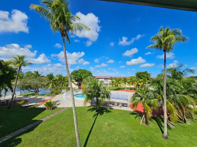 a view of a garden with a tree in a yard