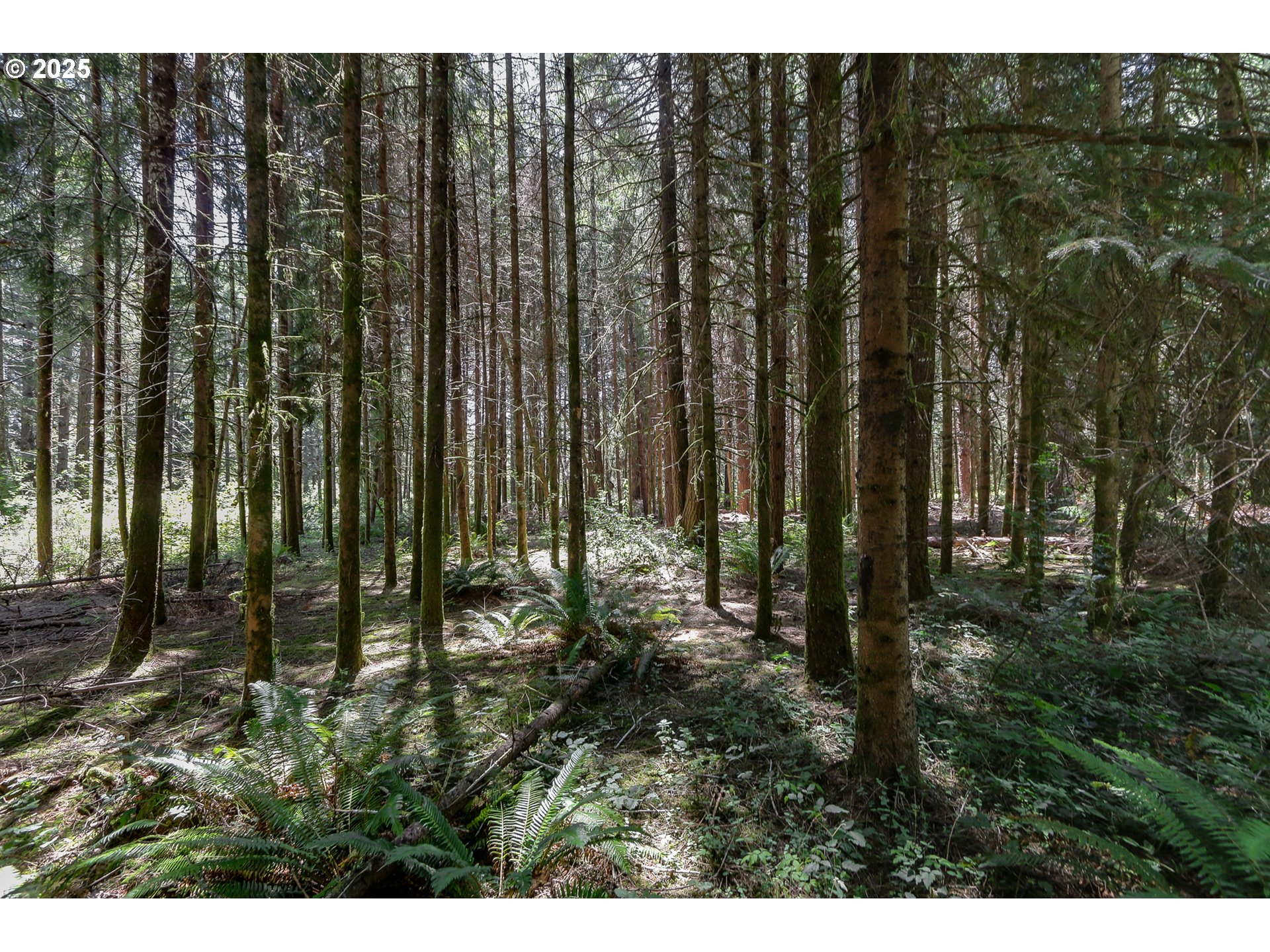 25454 Perkins Road Veneta, OR 97487 - Photo 22 of 32