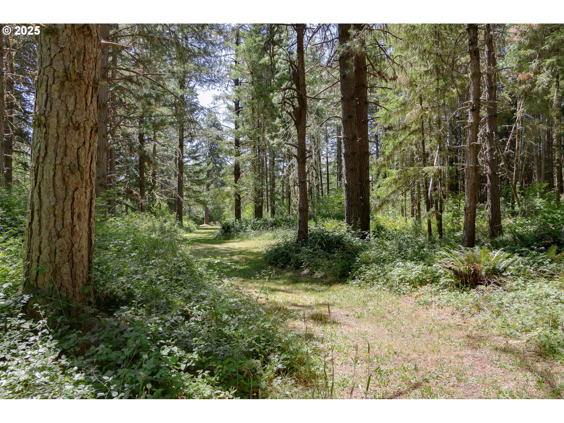 25454 Perkins Road Veneta, OR 97487 - Photo 23 of 32