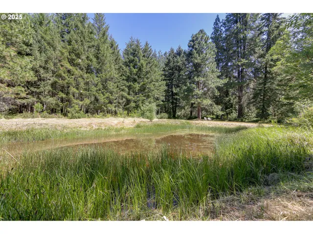 $699,000 | 25454 Perkins Road, Veneta, OR 97487