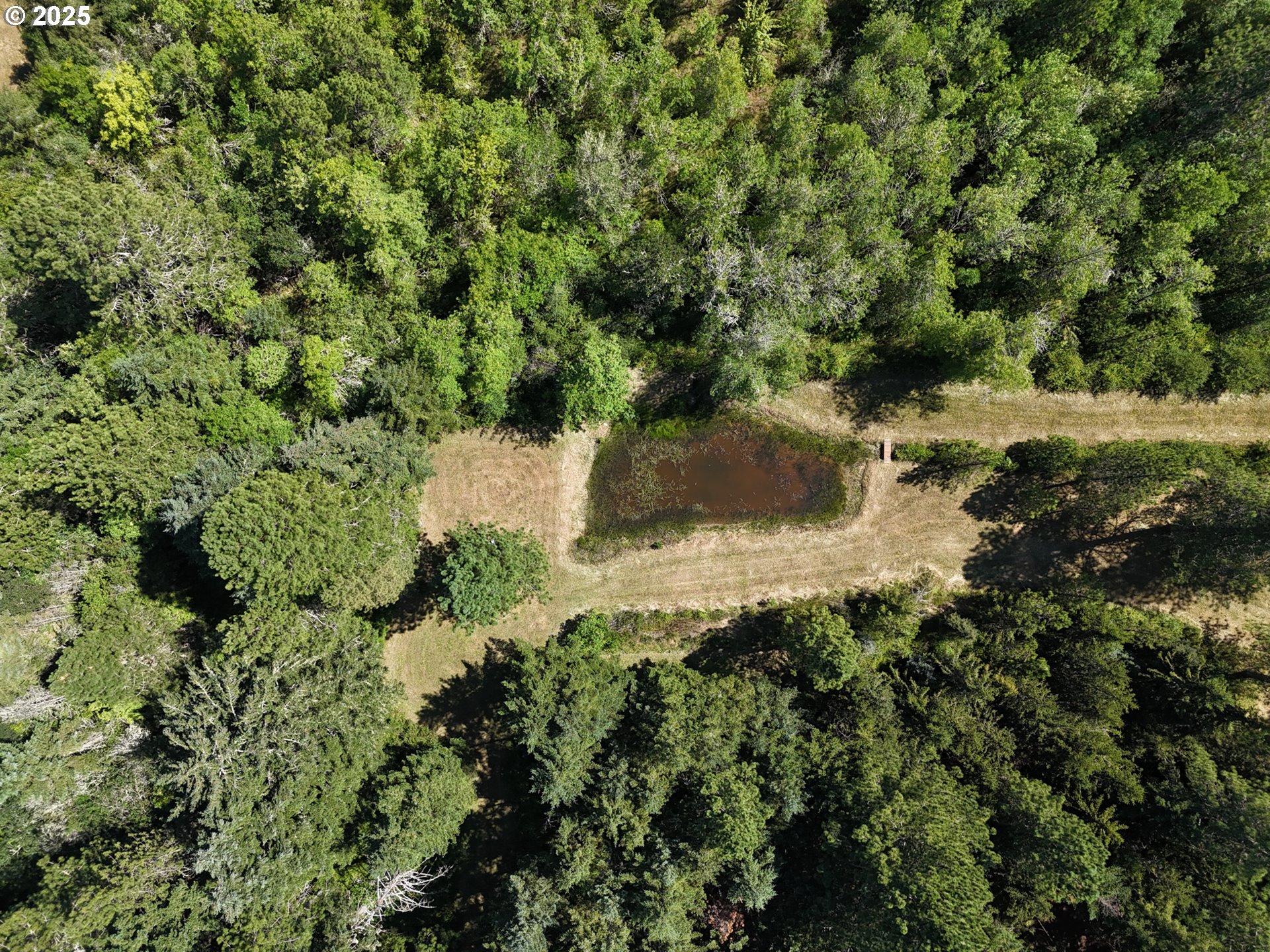 25454 Perkins Road Veneta, OR 97487 - Photo 27 of 32