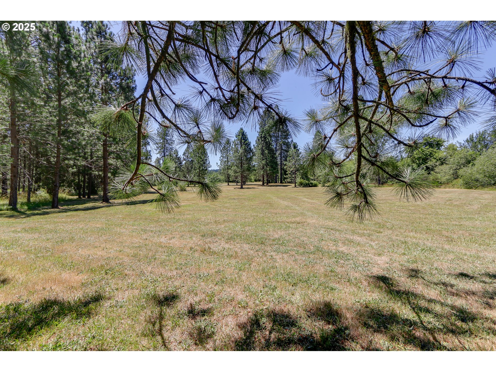 25454 Perkins Road Veneta, OR 97487 - Photo 5 of 32