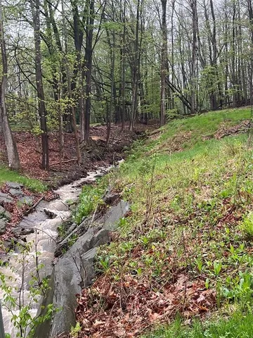 $449,000 | 1204 Hartwick Lane, Vestal, NY 13850