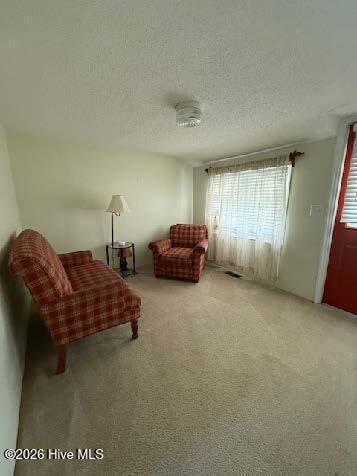 170 Loop Road Burgaw, NC 28425 - Photo 11 of 25 170 Loop Rd - Living Room or Sitting Roo