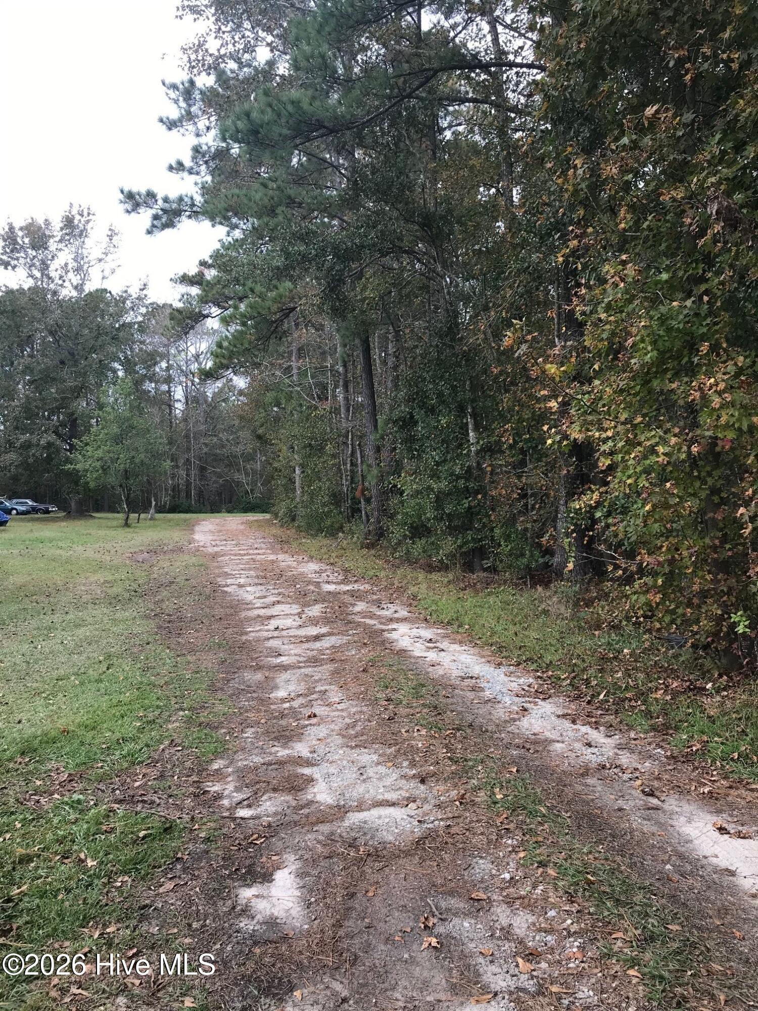 170 Loop Road Burgaw, NC 28425 - Photo 25 of 25 208 Loop Rear drive