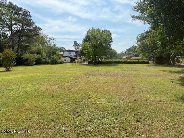 170 Loop Road Burgaw, NC 28425 - Photo 5 of 25 170 Loop Rd - Backyard View