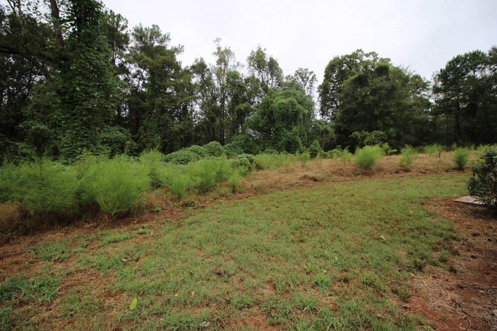 483 Devil's Pond Road Crawford, GA 30630 - Photo 22 of 32