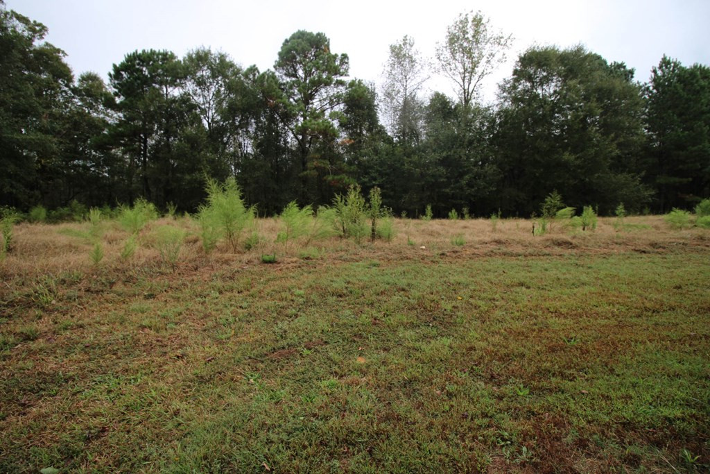 483 Devil's Pond Road Crawford, GA 30630 - Photo 26 of 32