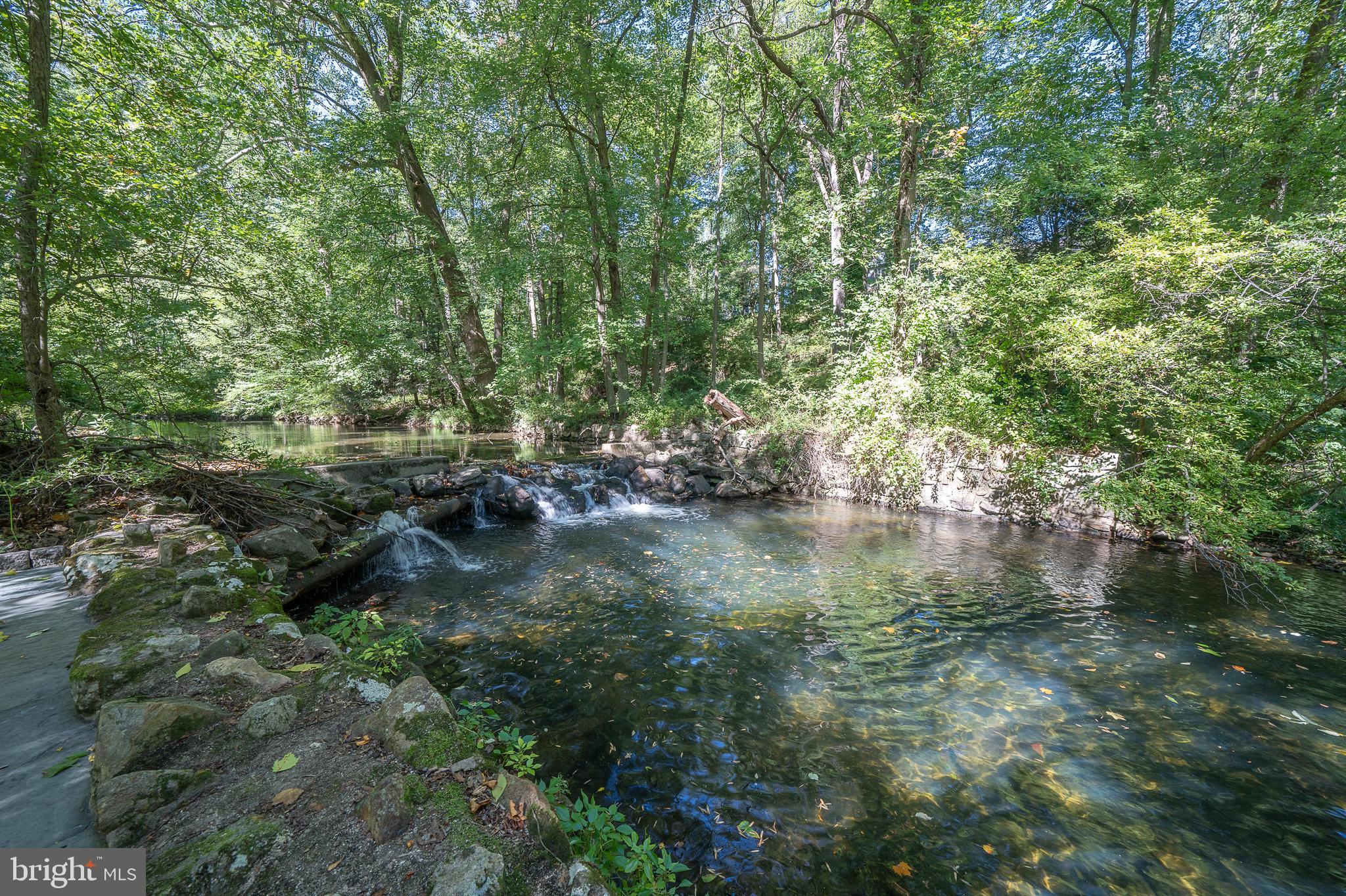 24-26 Paper Mill Road Newtown Square, PA 19073 - Photo 60 of 86 Wild swimming