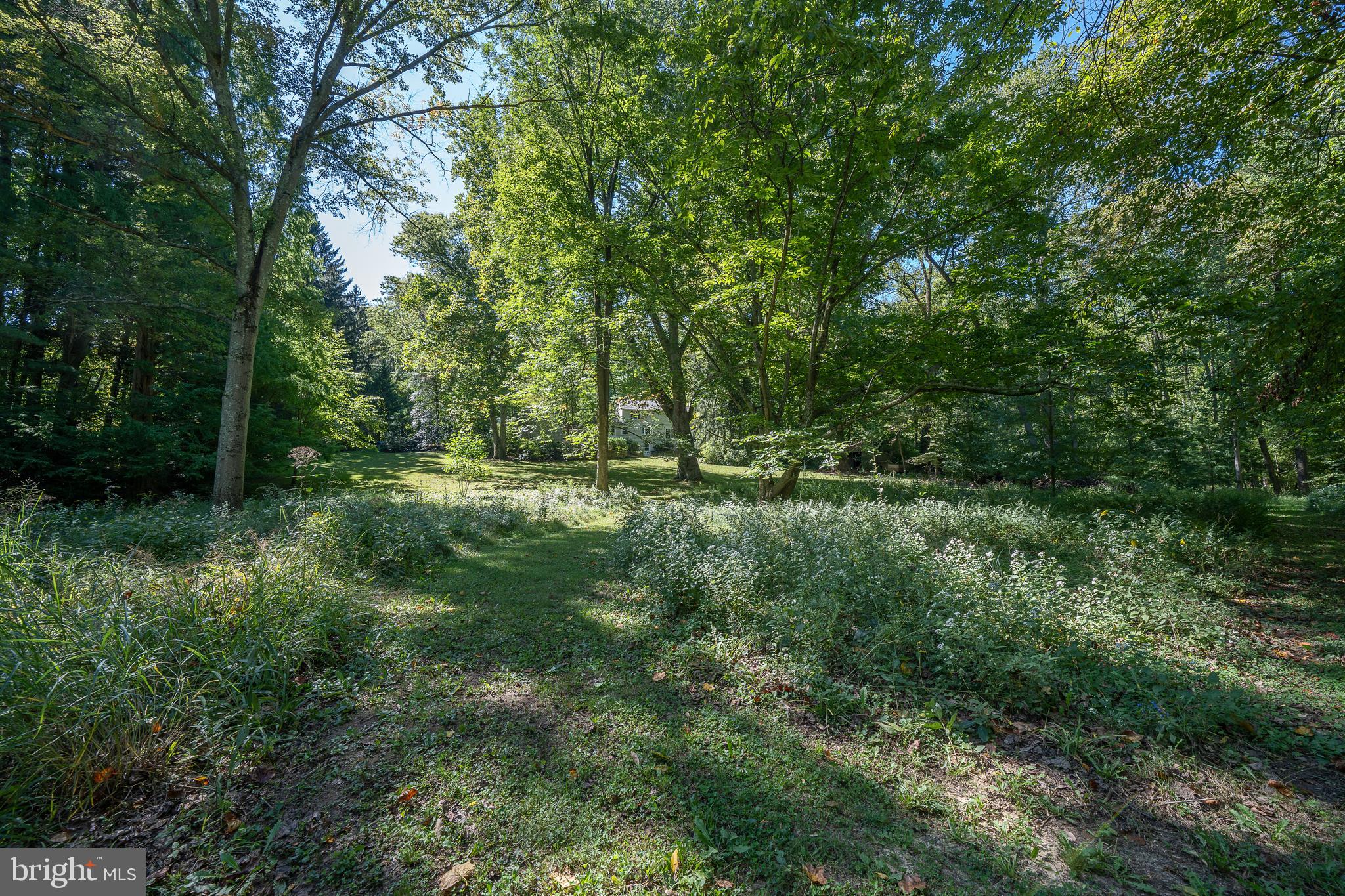 24-26 Paper Mill Road Newtown Square, PA 19073 - Photo 62 of 86 Forrested walks