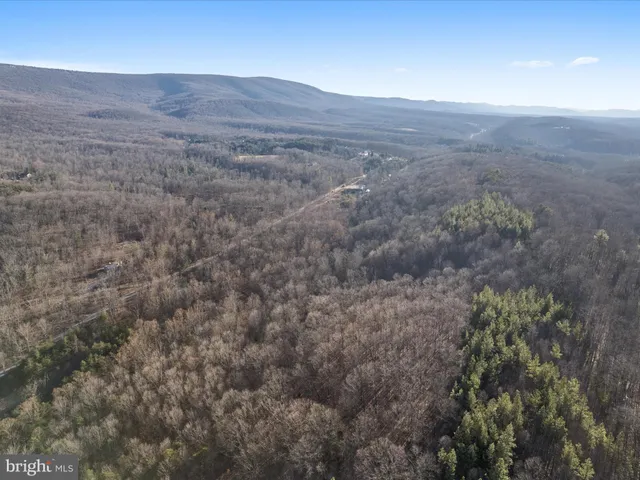 a view of a dry yard with green space and fog