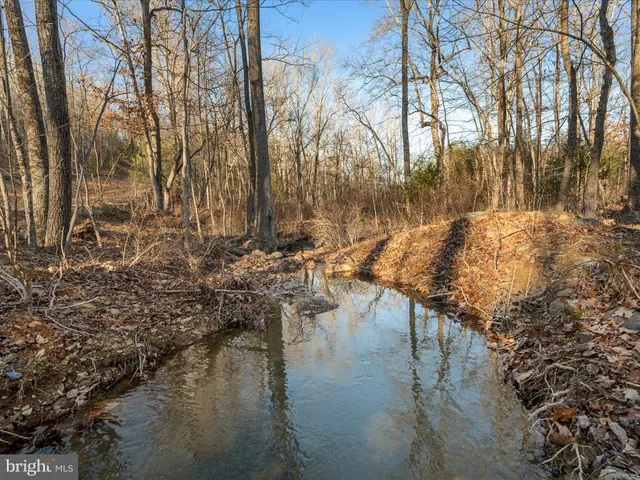 a view of a dry yard