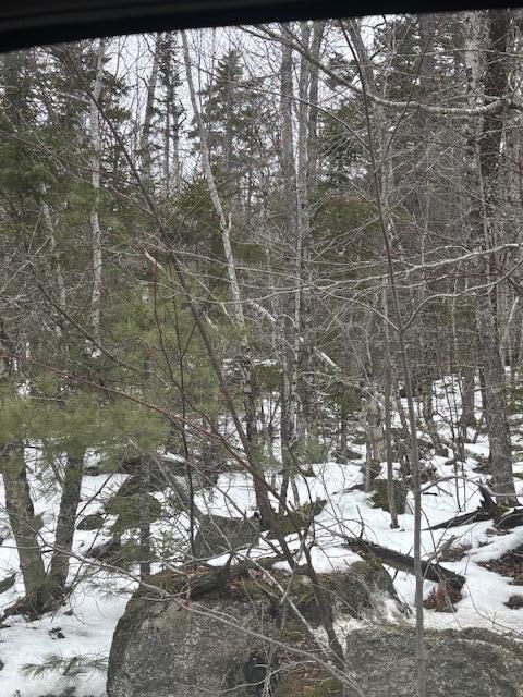 109 Map Road Ellsworth, ME 04605 - Photo 10 of 10 IMG_0301