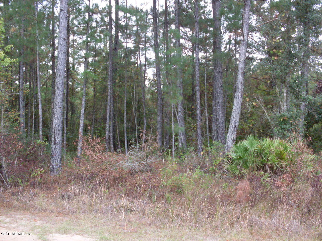 Property from Road