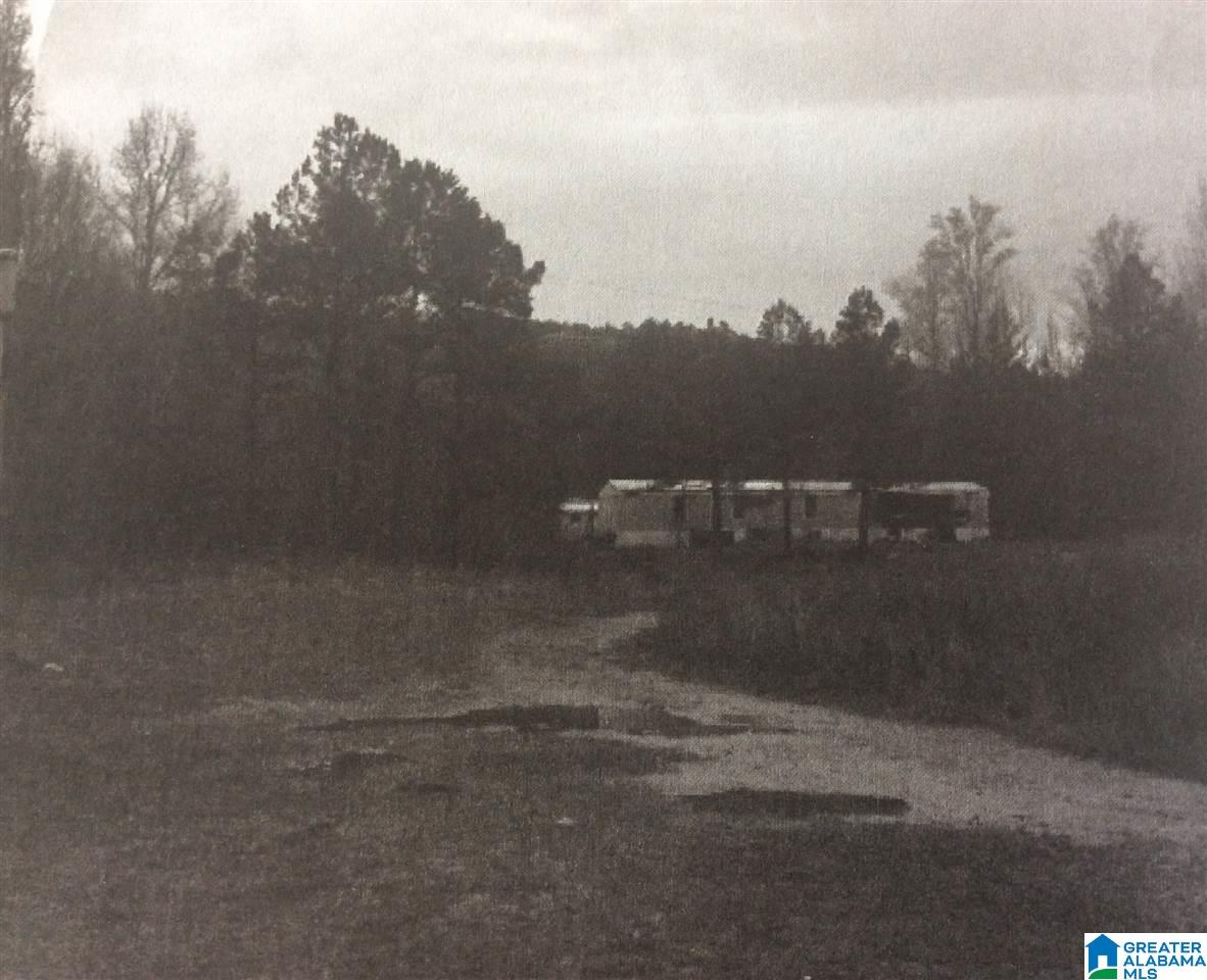 1687 Crawford Cove Road, Unit 1 Springville, AL 35146 - Photo 5 of 5