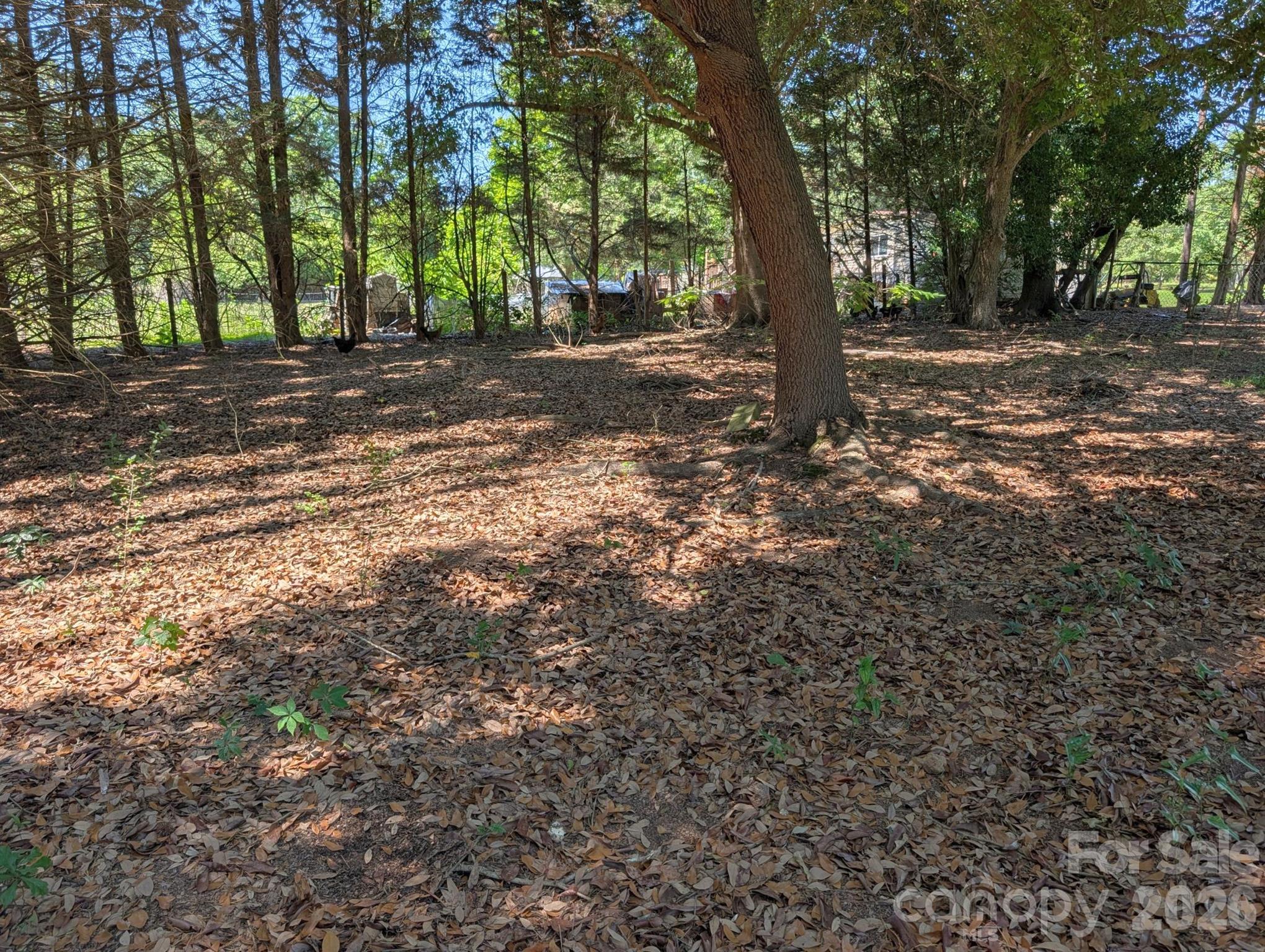 4053 Roddey Road Catawba, SC 29704 - Photo 42 of 43