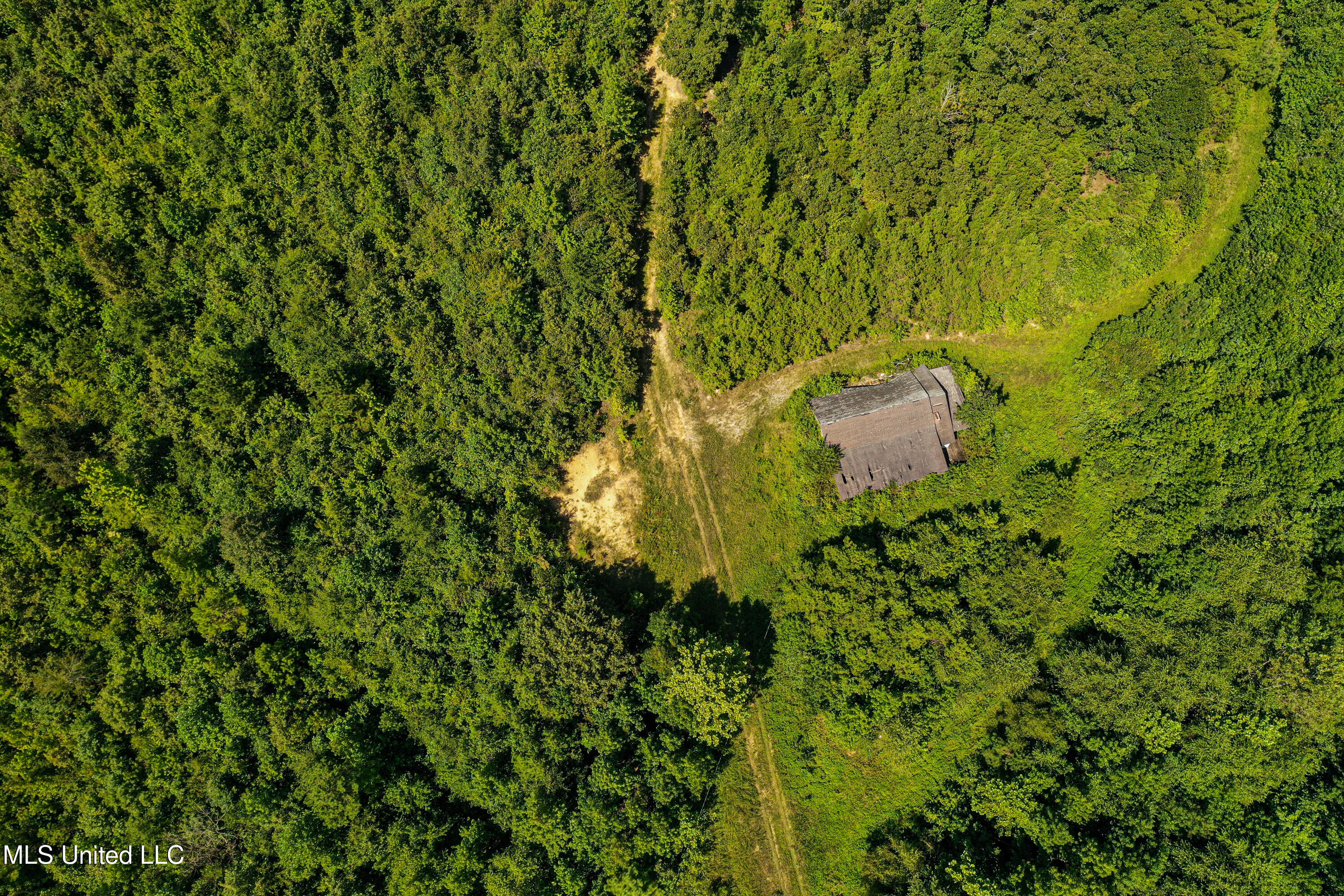 2295 Chapman Road Falkner, MS 38629 - Photo 43 of 48 DJI_0421-2