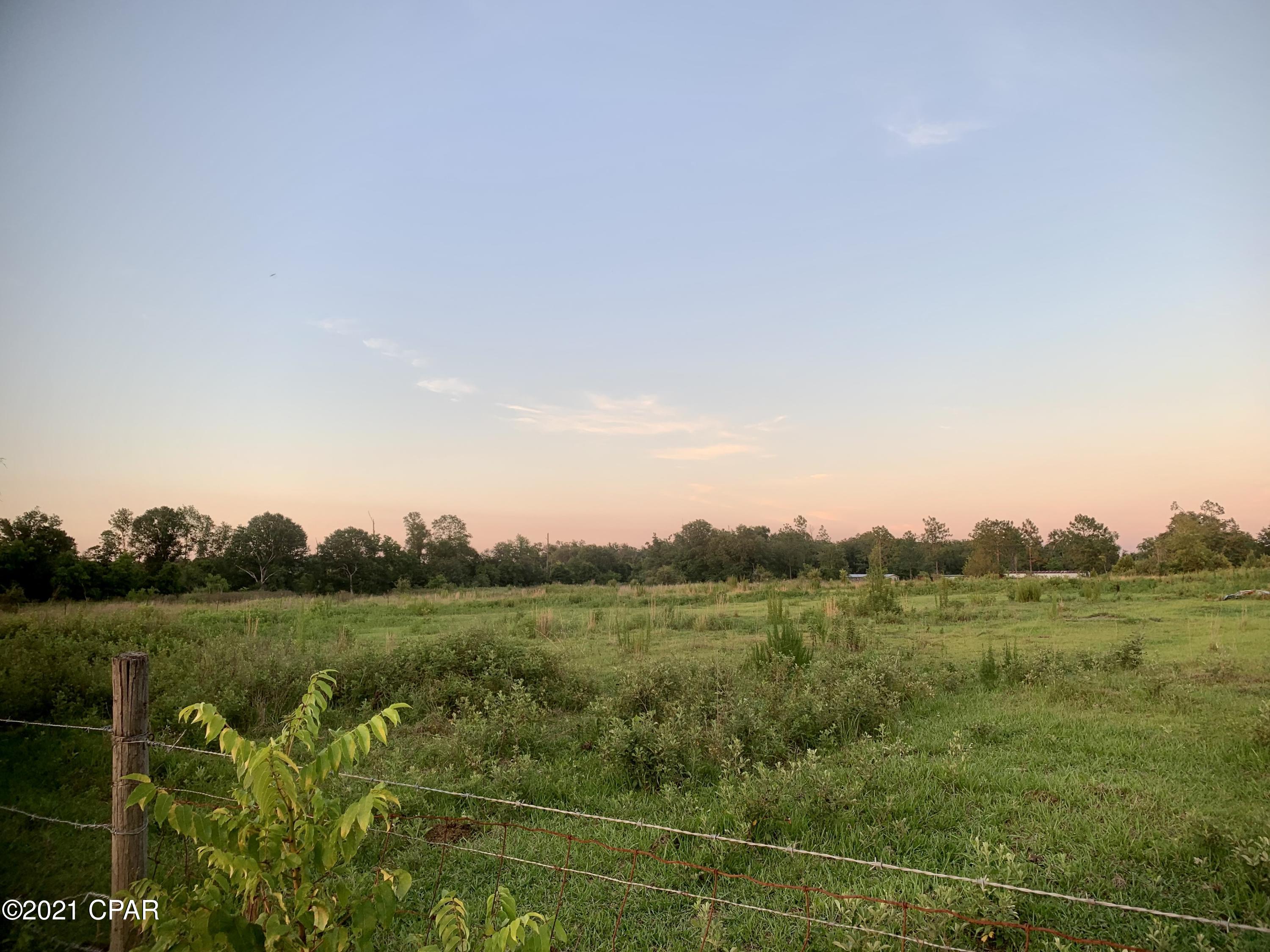 0 Hamilton Road Grand Ridge, FL 32442 - Photo 4 of 5 Gallery Image 4