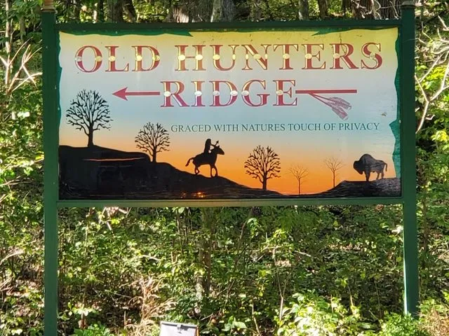 a view of a grassy area with an trees