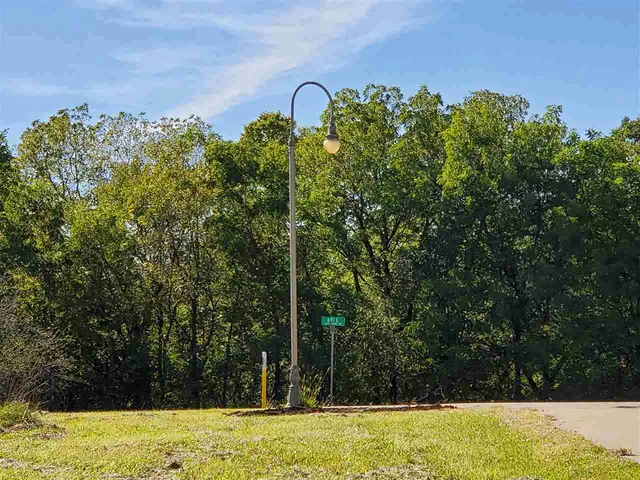 a view of a yard with a house in the background