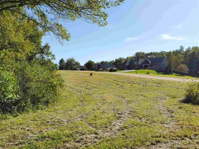 a view of yard with green space