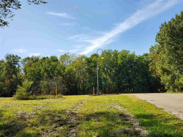 a view of a yard with plants and trees