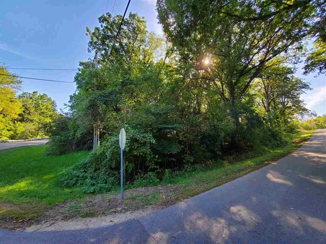 a view of a yard with large trees