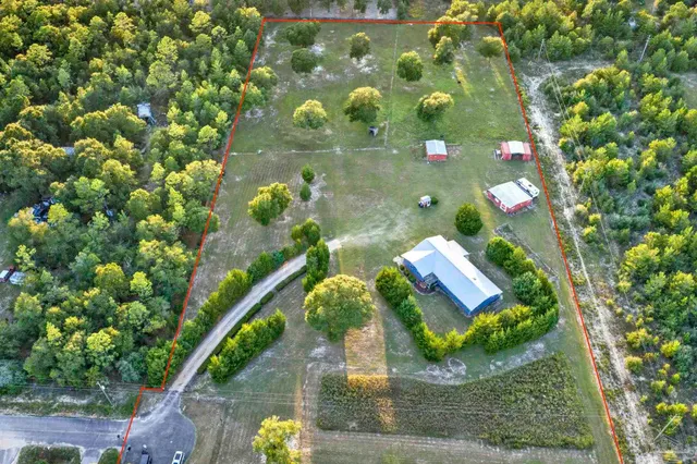 a picture of flowers