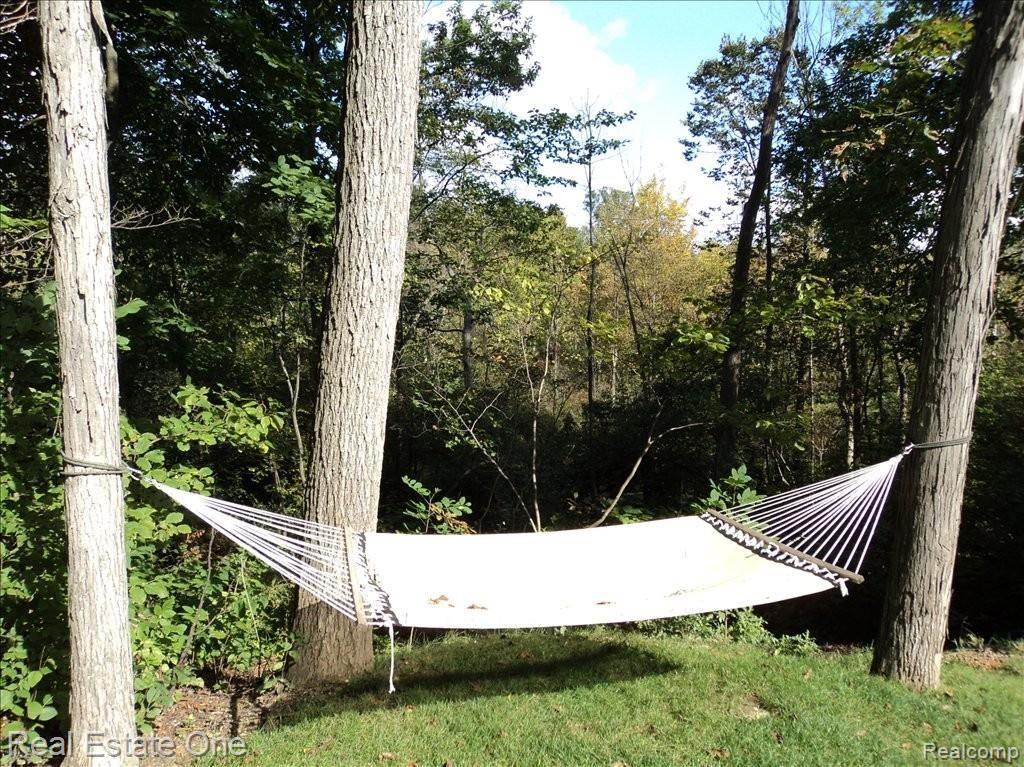 1385 Remsing Street Hartland, MI 48353 - Photo 24 of 25 Time To Relax w/ Nature