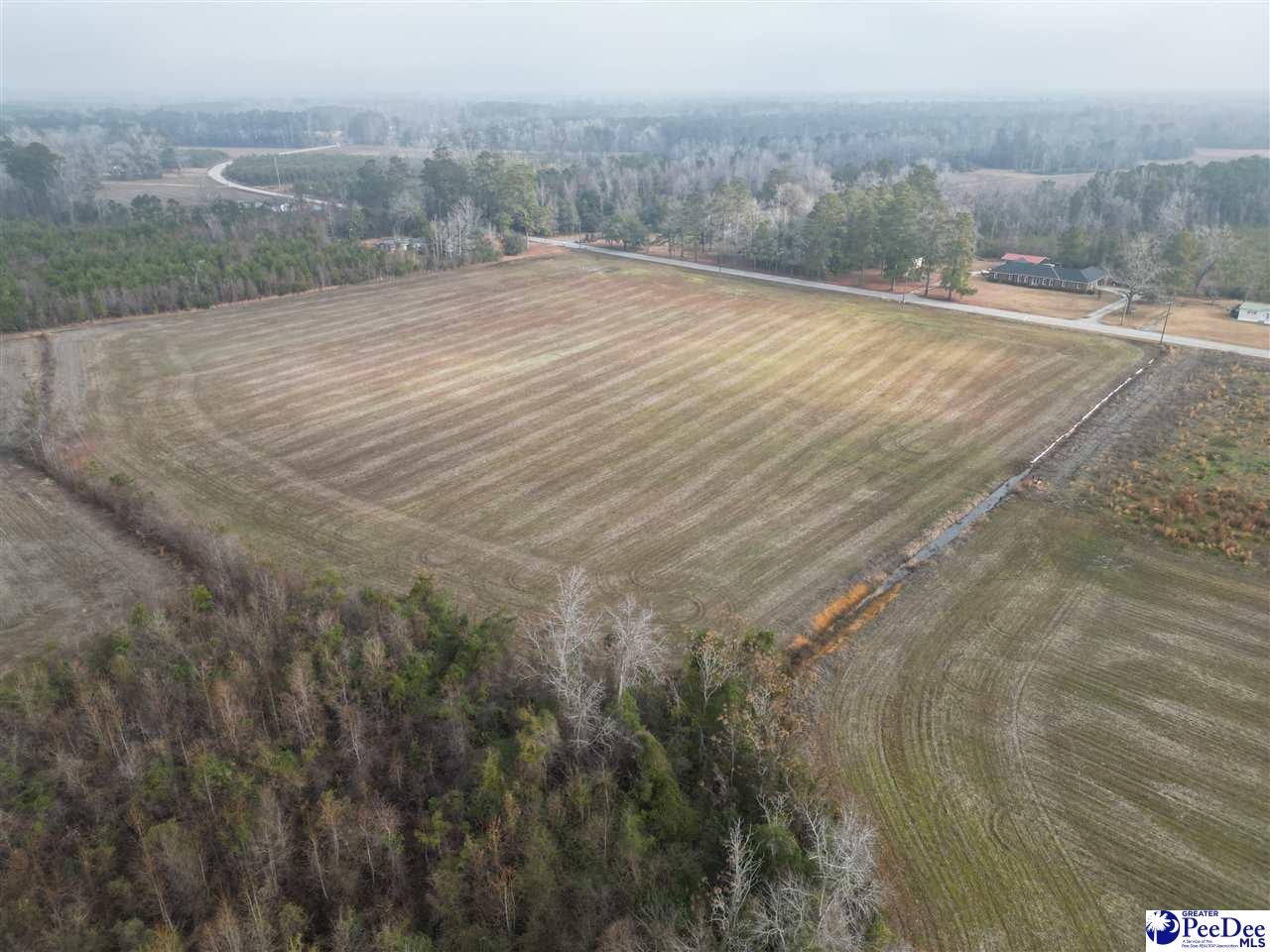 Tbd Lynhurst Pamplico, SC 29583 - Photo 1 of 2 Gallery Image 1
