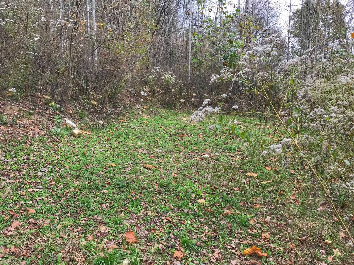 889 South Fork Road Stanton, KY 40380 - Photo 11 of 19 Photo 11