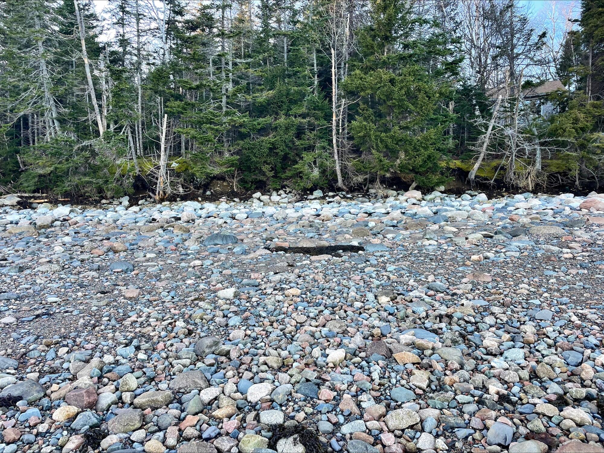 58-20 Paul Bunyan Road Corea, ME 04624 - Photo 4 of 15 processed-34503114-4257-4690-9716-4C5578