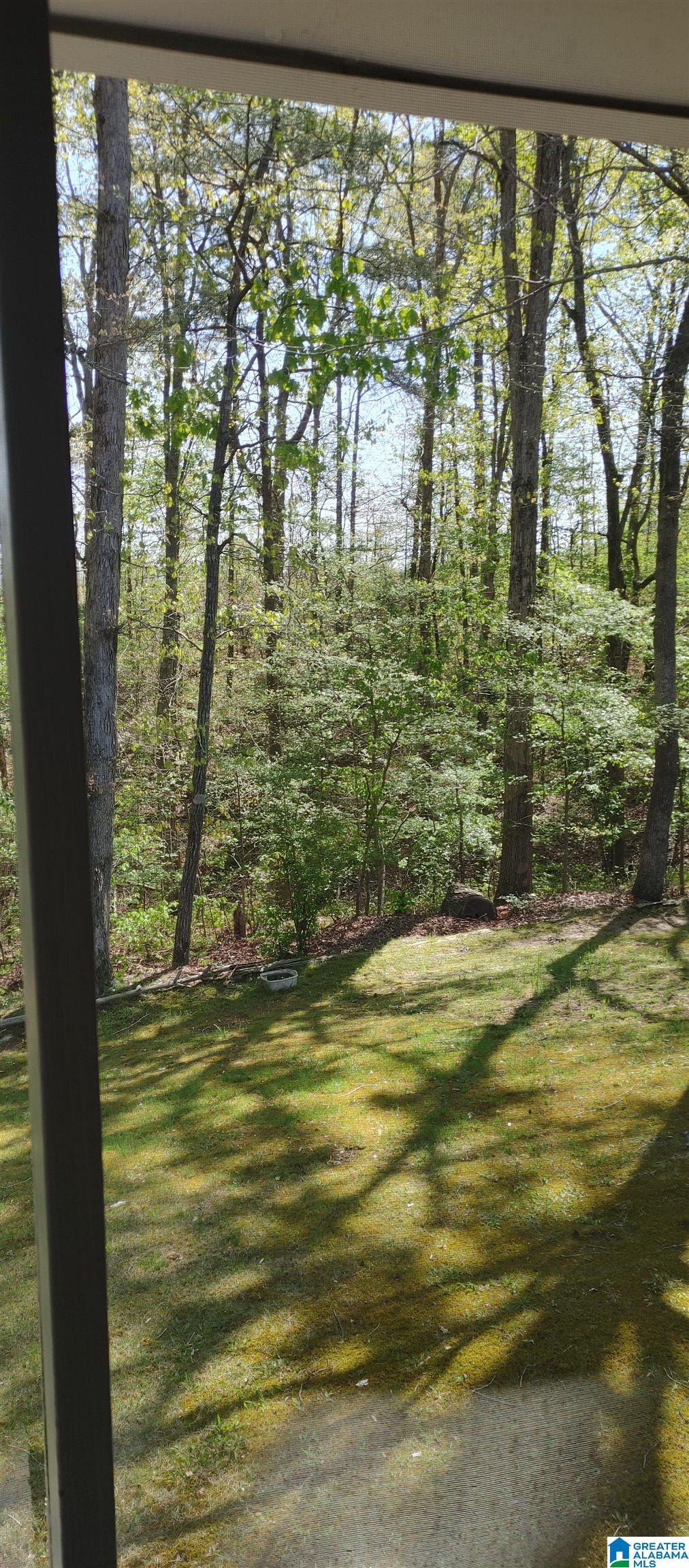 3067 Happy Top Road Morris, AL 35116 - Photo 12 of 12