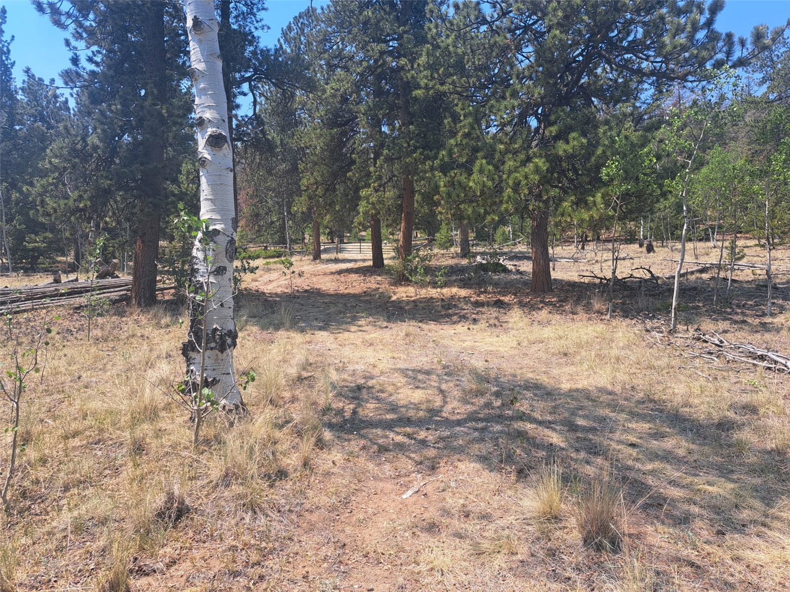 2338 Fitzsimmons Road Hartsel, CO 80449 - Photo 17 of 32