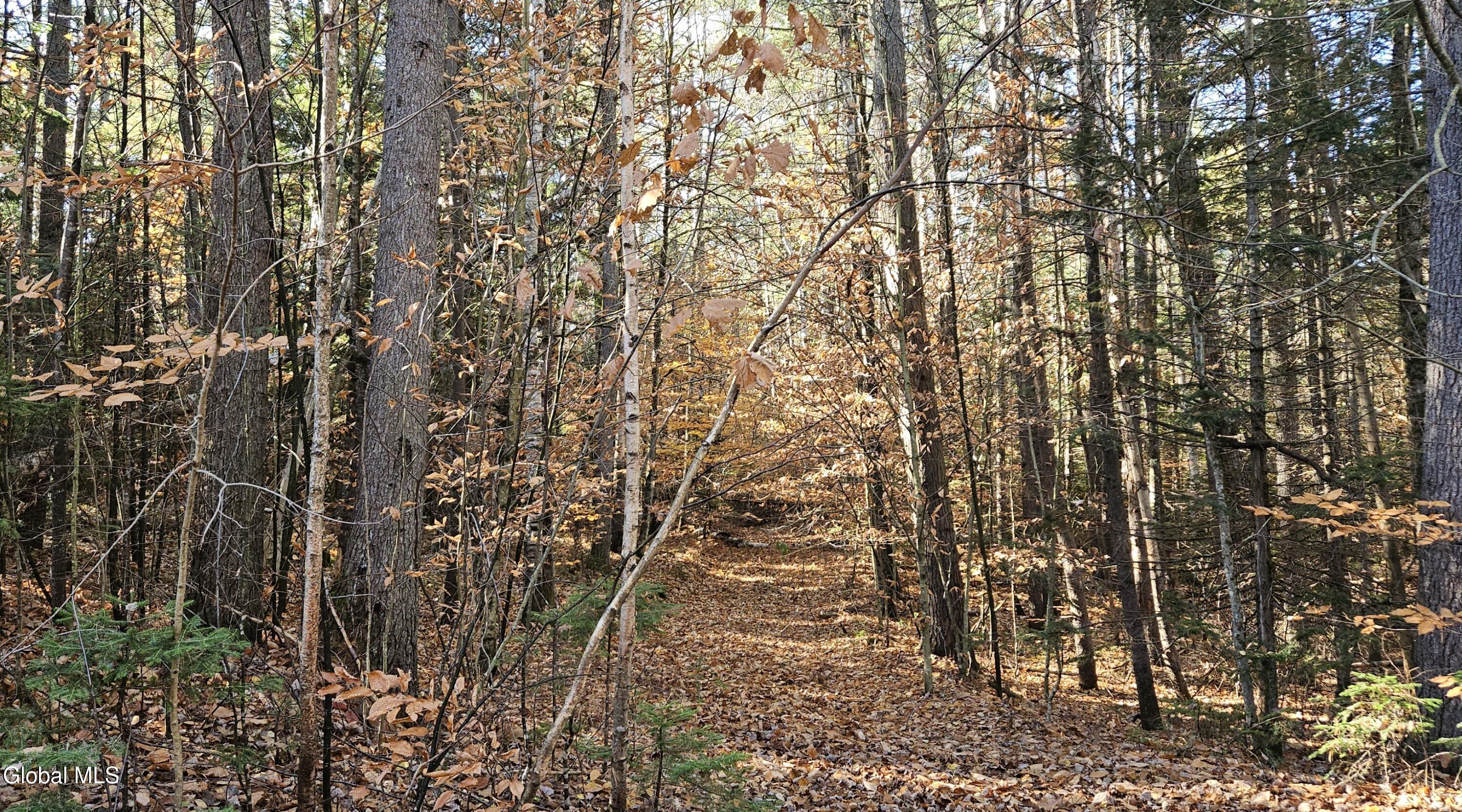 183 Mountain Path Johnsburg, NY 12853 - Photo 1 of 3 Road Side Picture