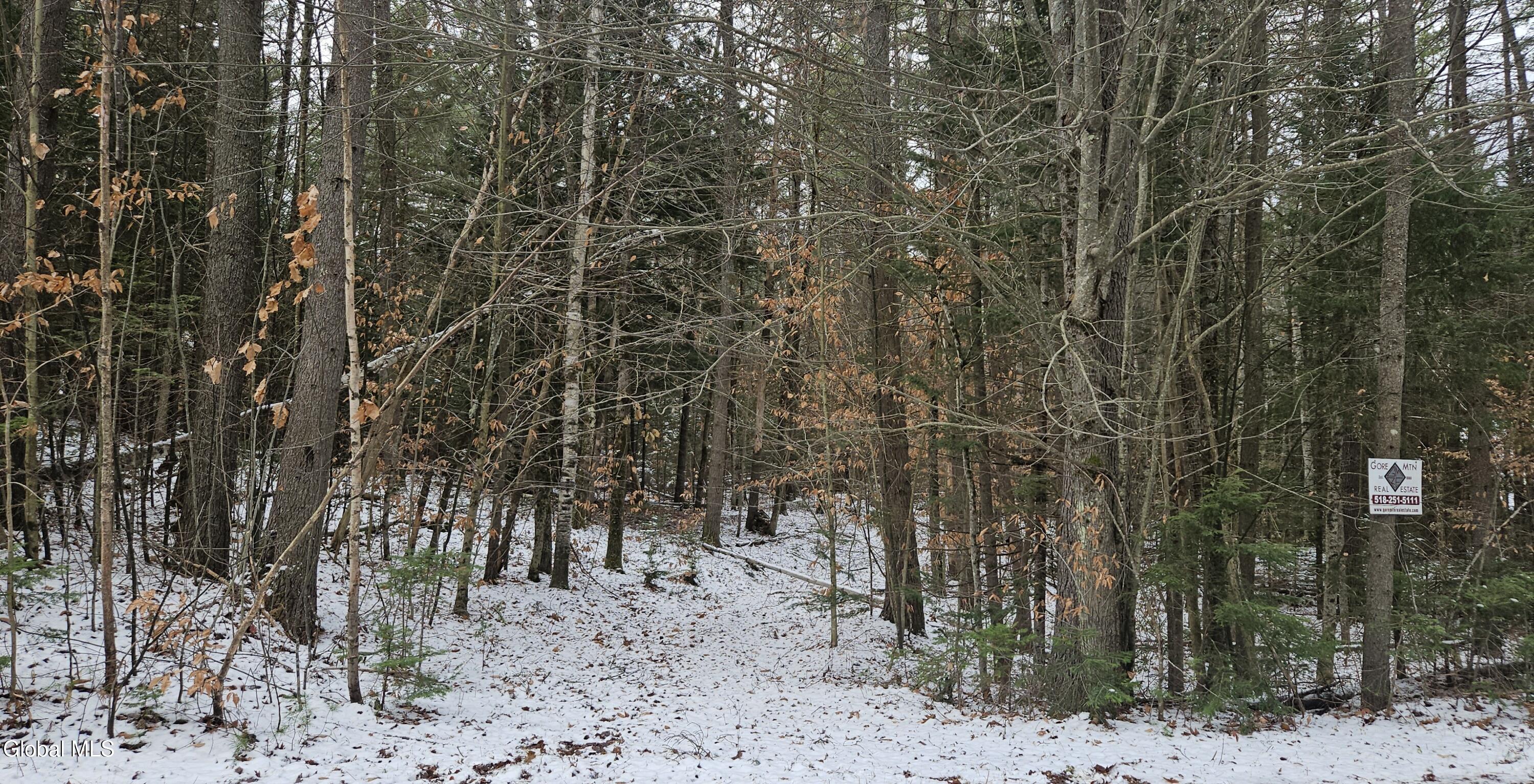 183 Mountain Path Johnsburg, NY 12853 - Photo 2 of 3 Road Side Picture 2