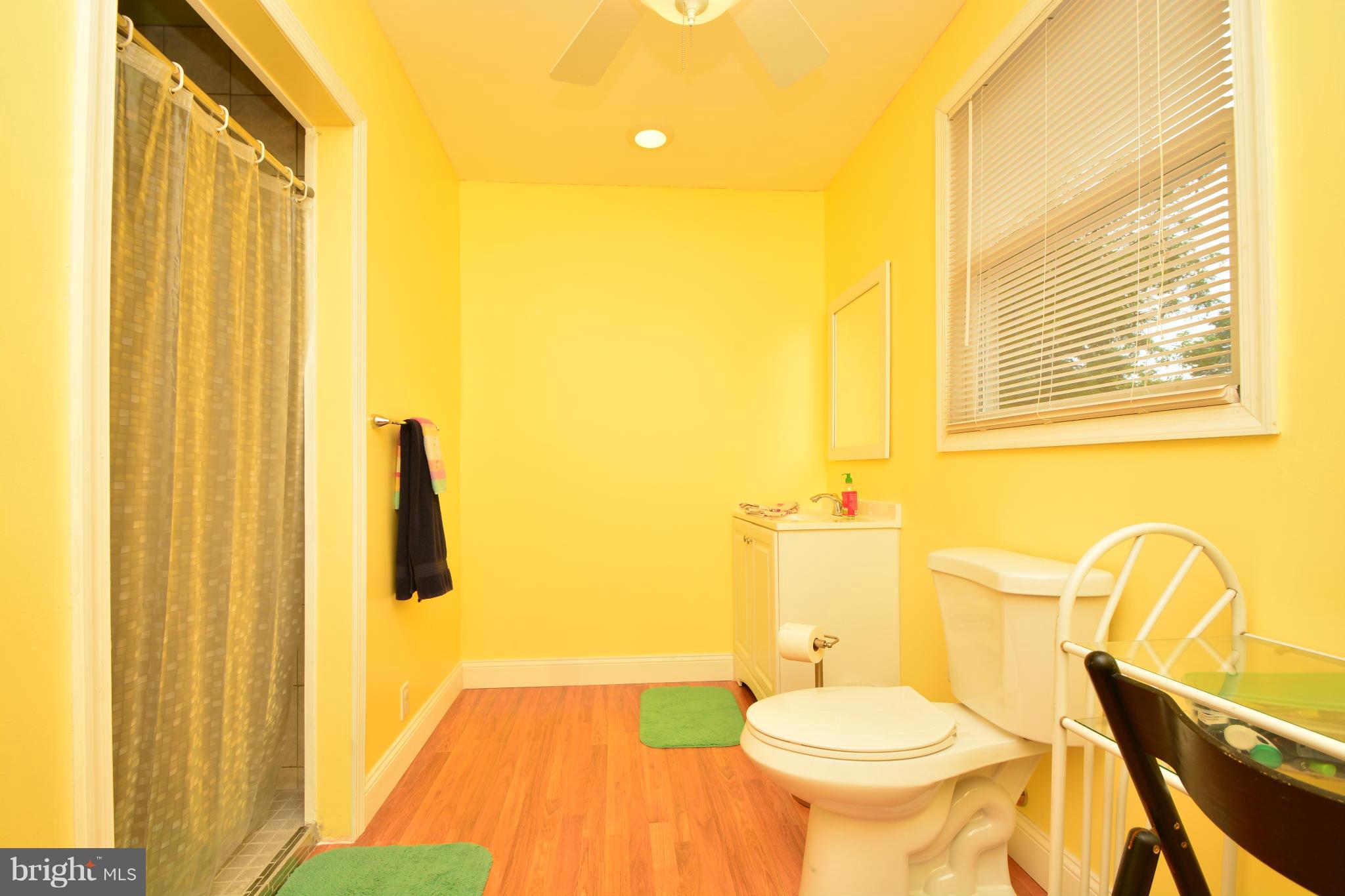 168 Riverside Road Baltimore, MD 21221 - Photo 22 of 30 Bath (Master)