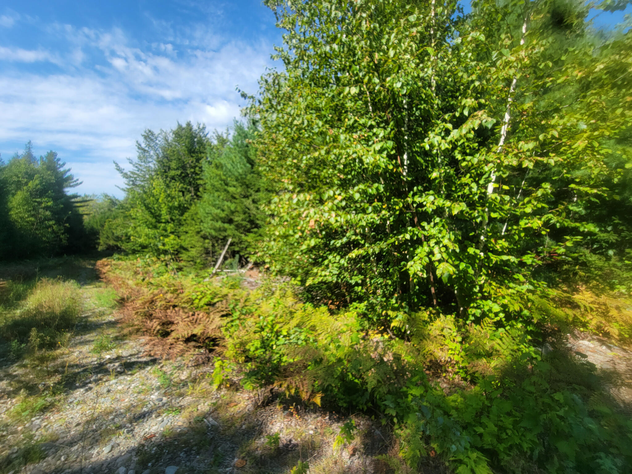 Tbd Tbd Chandler Road Enfield, ME 04493 - Photo 2 of 18 20220908_104527