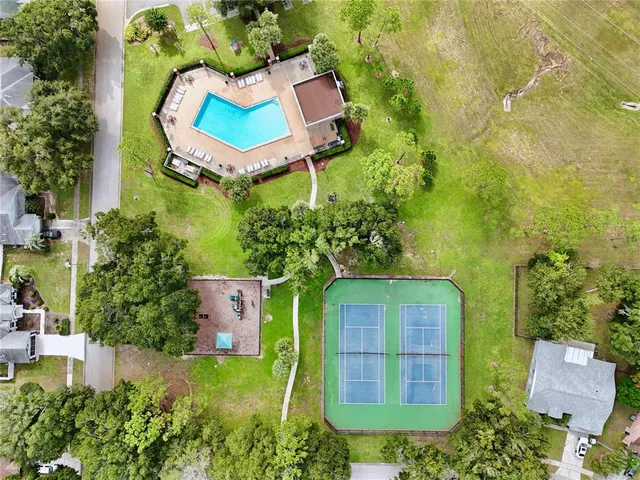 a view of a bunch of flowers