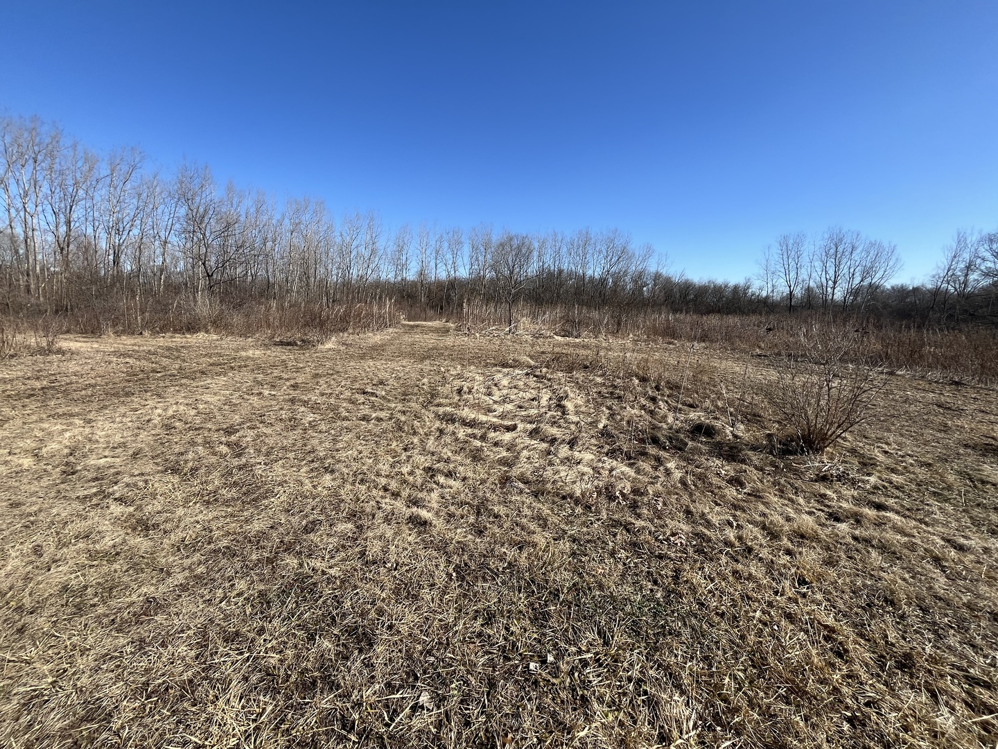 39155 North Dilleys Road Wadsworth, IL 60083 - Photo 2 of 13 a view of lake with green space