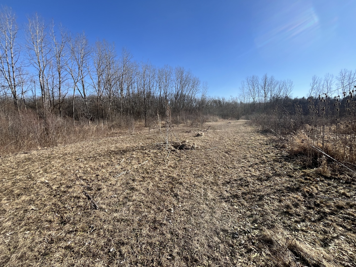 39155 North Dilleys Road Wadsworth, IL 60083 - Photo 7 of 13 a view of lake with green space