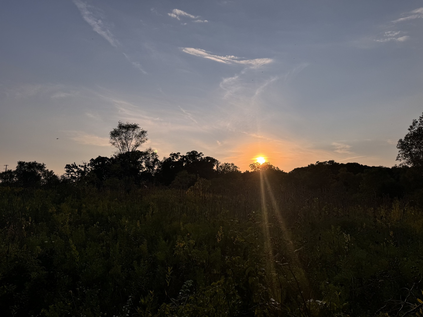 39155 North Dilleys Road Wadsworth, IL 60083 - Photo 8 of 13 a view of a sunset