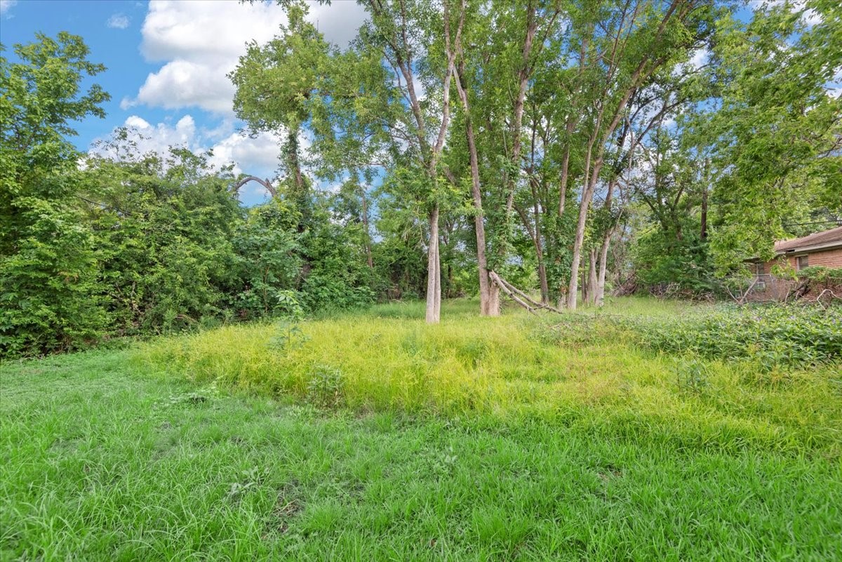 315 East Whitney Street Houston, TX 77022 - Photo 36 of 37 a view of outdoor space and yard