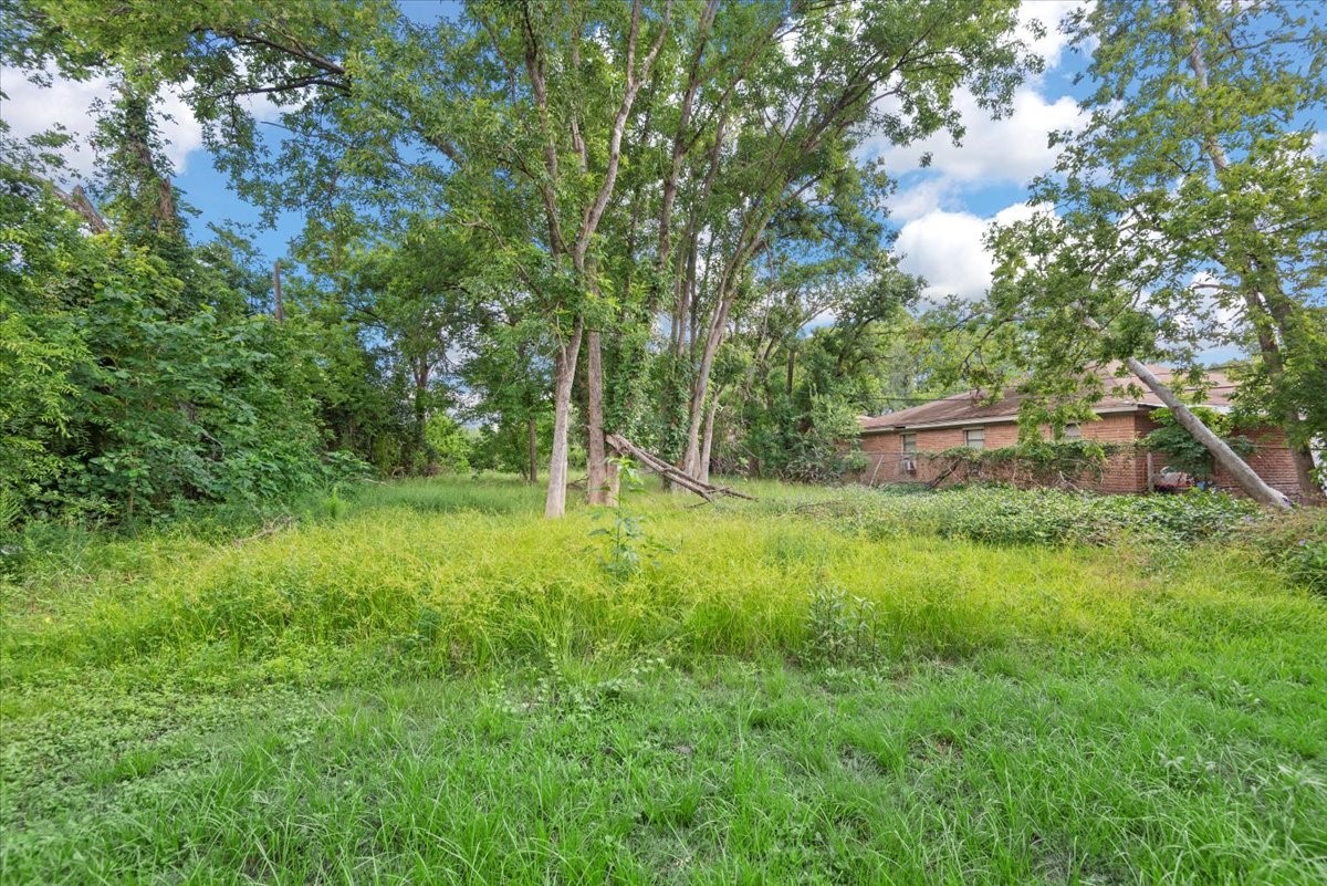 315 East Whitney Street Houston, TX 77022 - Photo 37 of 37 a view of a green field with lots of bushes