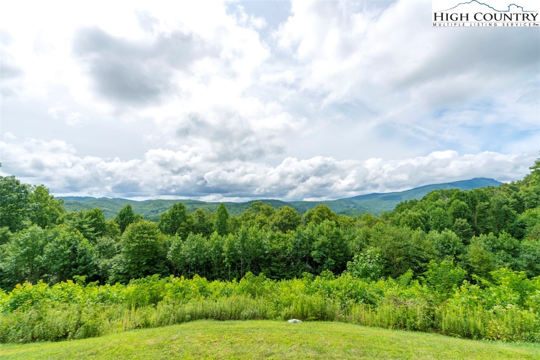 171 Falcon Trace, Unit C411 Boone, NC 28607 - Photo 20 of 46 a view of a bunch of trees and barn in the background