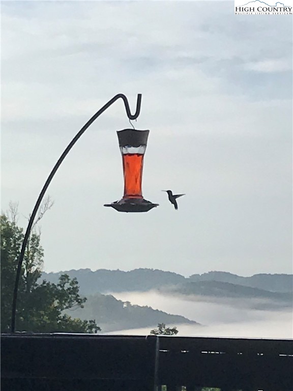 171 Falcon Trace, Unit C411 Boone, NC 28607 - Photo 22 of 46 a view of wooden floor and a table in a field