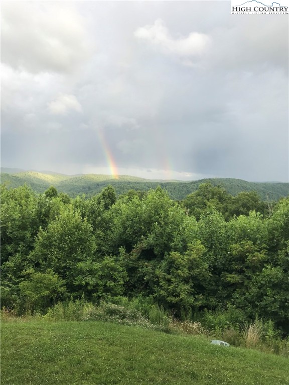 171 Falcon Trace, Unit C411 Boone, NC 28607 - Photo 23 of 46 a view of a field of grass and trees
