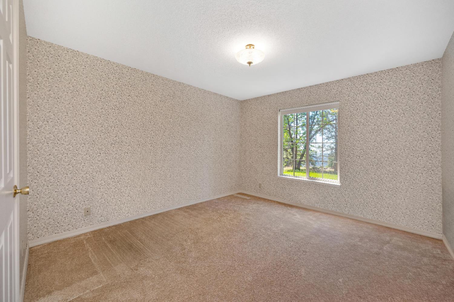 5215 Faraway Road Greenwood, CA 95635 - Photo 21 of 46 empty room with light carpet